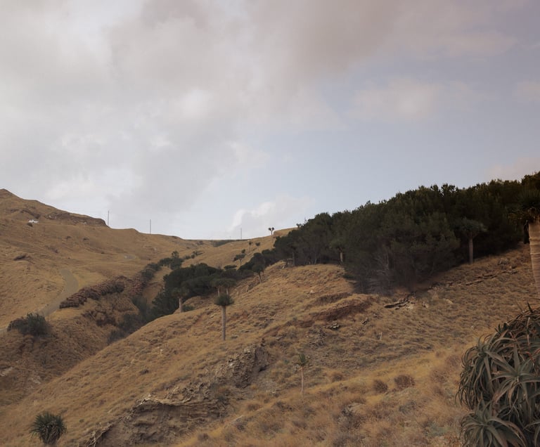 Vidinė valanda psichoterapijos konsultacija