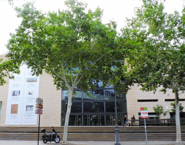 Modern and imposing exterior of the Valencian Institute of Modern Art (IVAM) in Valencia,