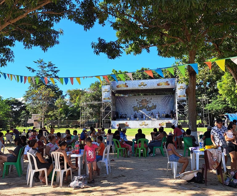 Crowd at an outdoor festival sitting under trees facing a stage with colorful party bunting.