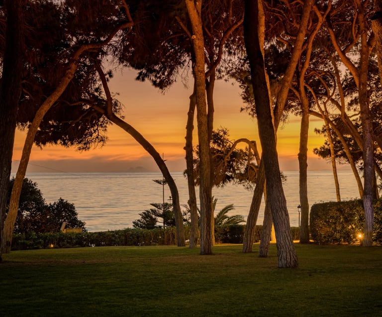 Sunset through the trees at Villa El Rincon