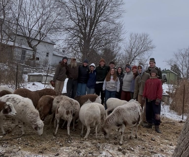 A group of young people standing with a flock of sheep on a snowy farm in winter.