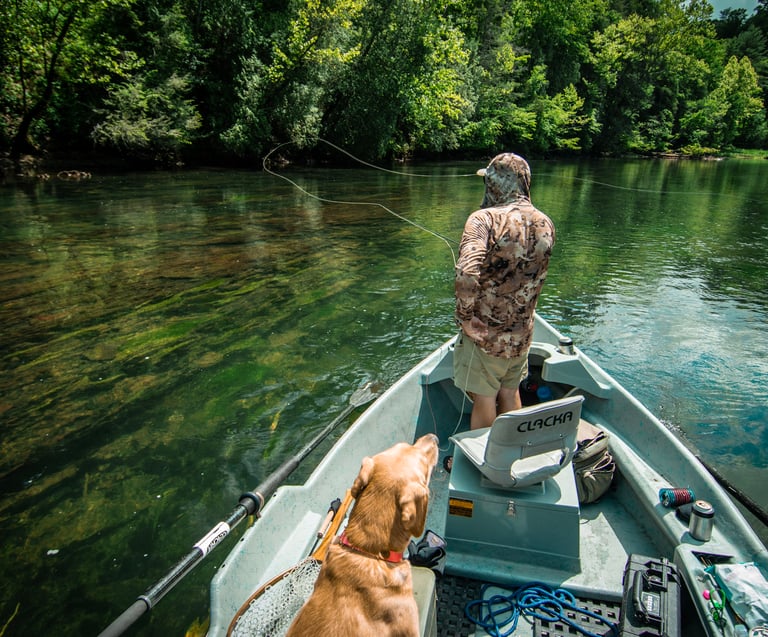 Summer dry fly fishing on the South Holston River.