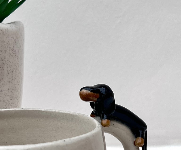 La pause Jacques avec son petit teckel 