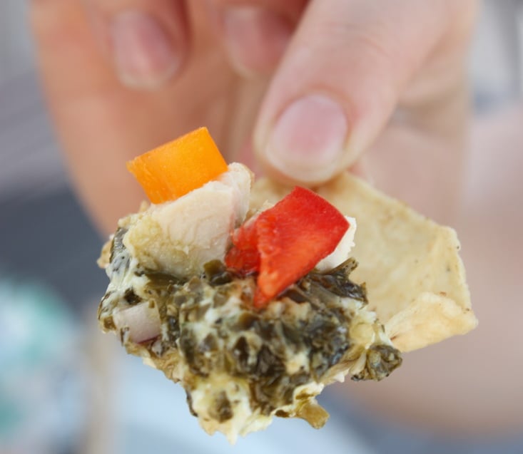 Judith's dip on a tortilla chip