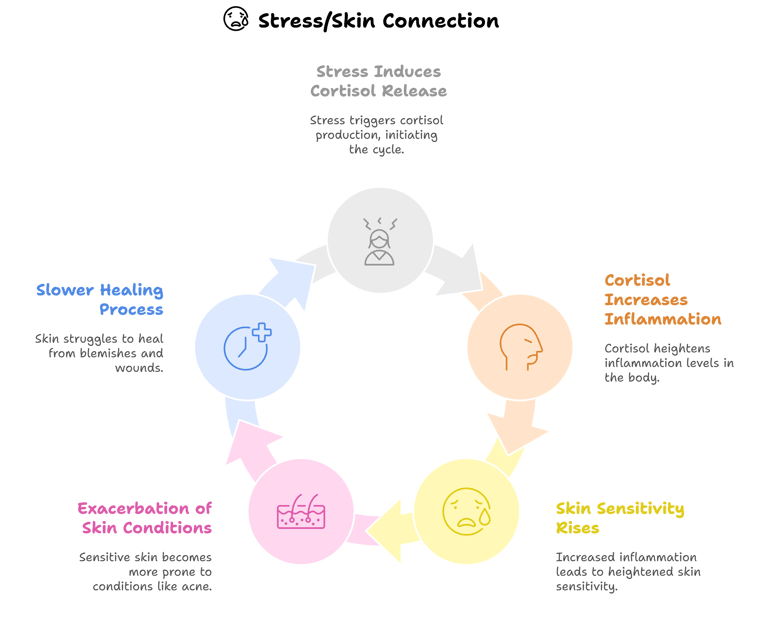 a circular diagram showing connection between stress induced cortisol and skin health 