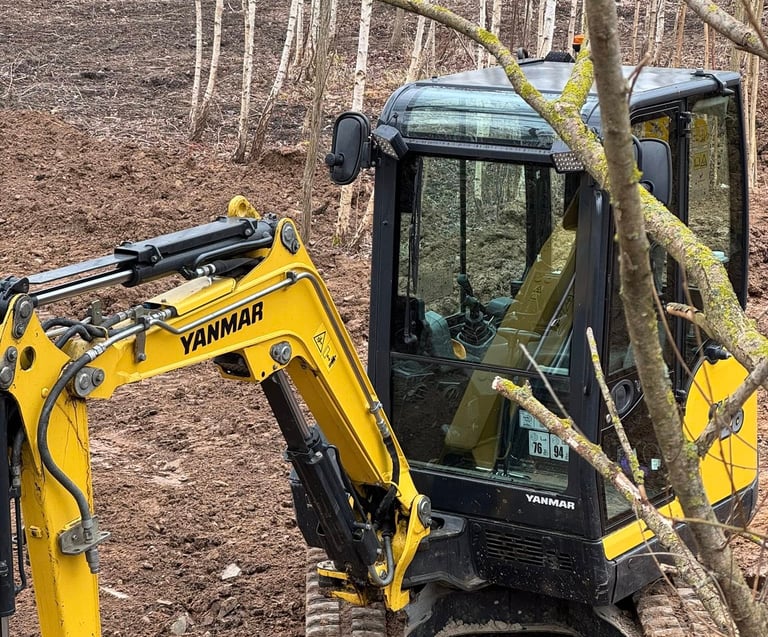 senu sklypo valymas, krumu valymas, sklypo valymas