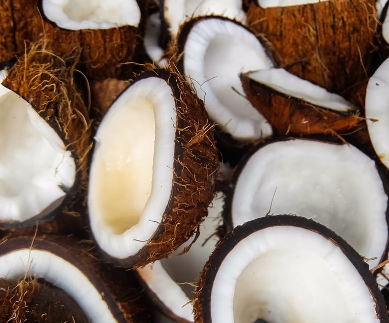 Coconut - WEARE OCEAN EXPORT