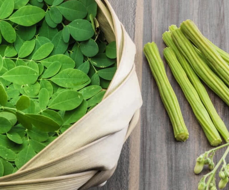 Moringa - WEARE OCEAN EXPORT