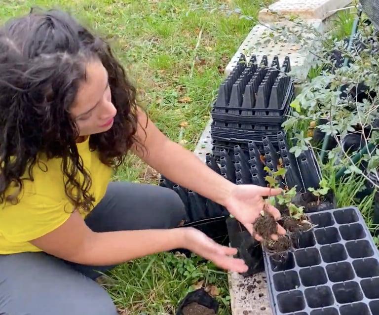EcoRumbo: soluciones sustentables y educación ambiental en Chiloé