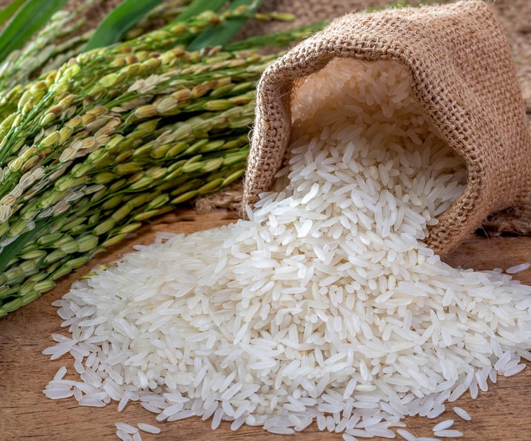 Rice - WEARE OCEAN EXPORT