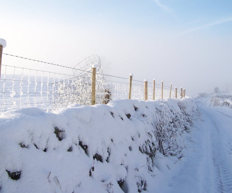 Snow on the fence by Andrew Duddle