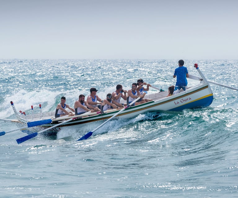 cmo externo vs cmo fraccional