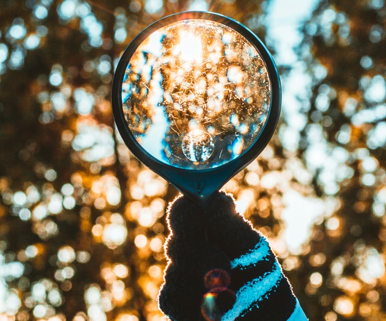 Cómo elegirlo: preguntas, red flags y checklist final