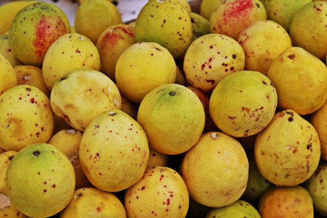 Jugo de Guayaba para la gripe Jugo antigripal de guayaba y miel