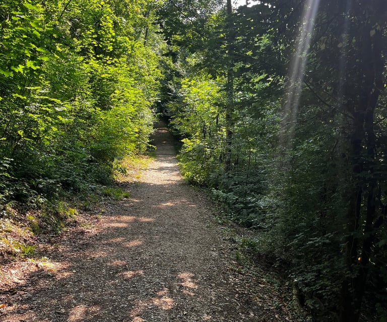 Chemin ombragé dans le parc du bois Vidal à Aix les Bains