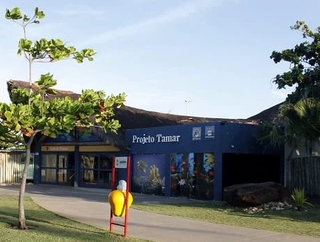 Projeto Tamar