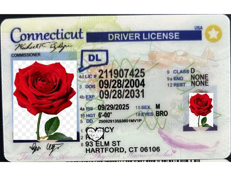 Connecticut scannable fake drivers license