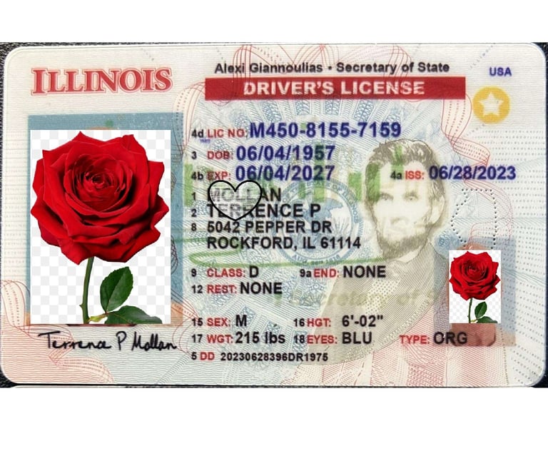 Illinois scannable fake ID drivers license