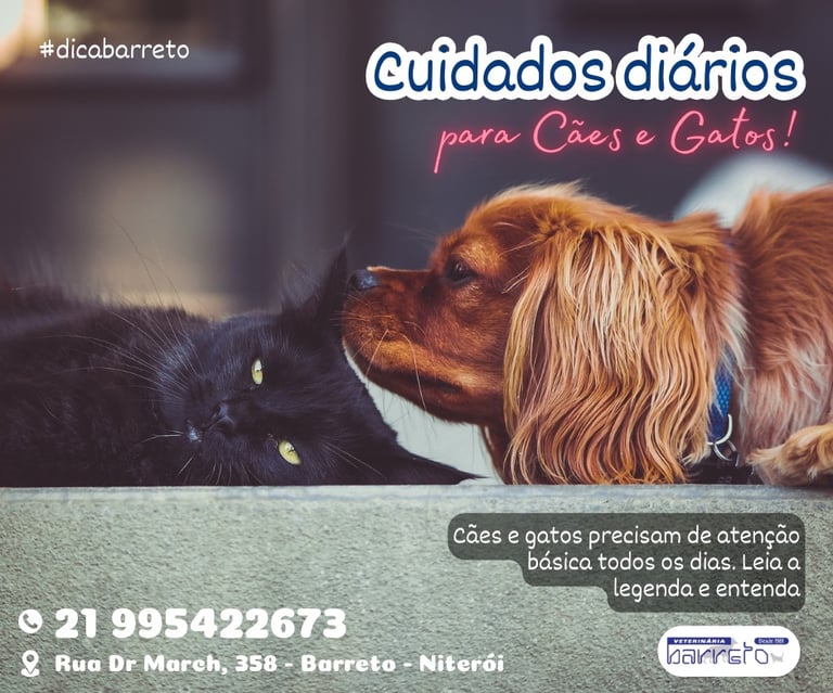 Cachorrinho cheirando um gatinho deitado
