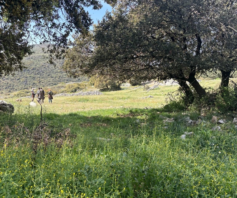 ruta organizada Zuheros
