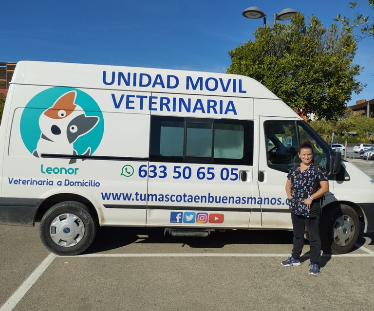 a woman standing in front of a van with a dog on it
