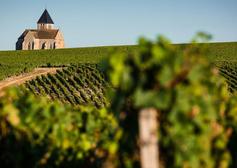 caviste en ligne vin premium Haute-Savoie et Annecy