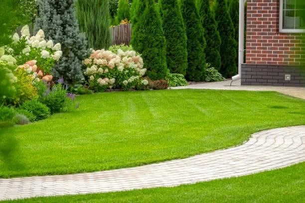 Happy homeowner with artificial grass garden Reading