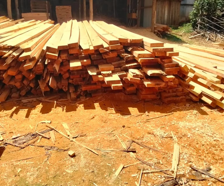 Cypress Timber Planks in Eldoret Timber Yard