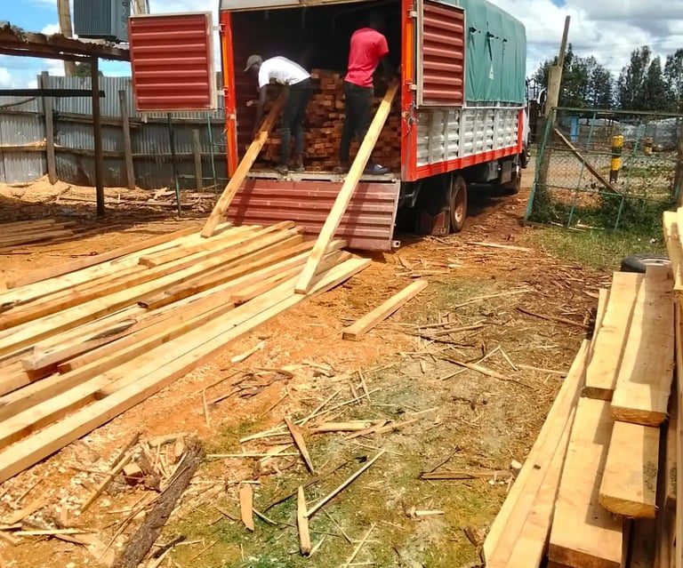 High-quality Blue Gum timber stacked for sale in Eldoret timber yard