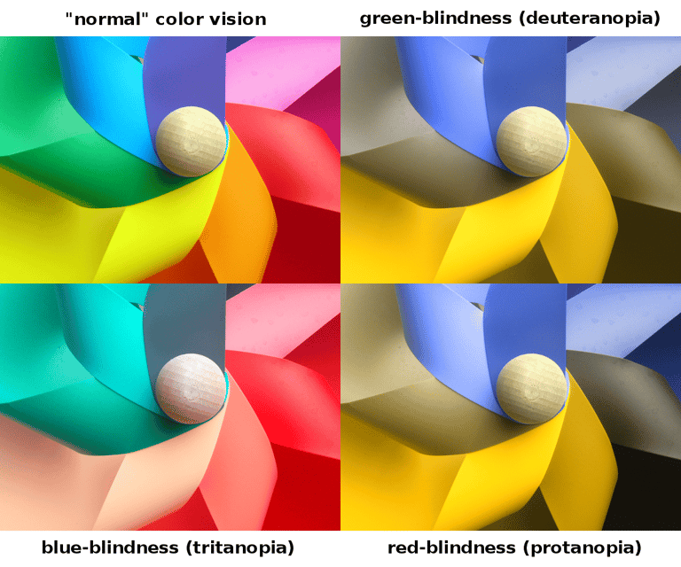 Comparison of what people with different types of color blindness see
