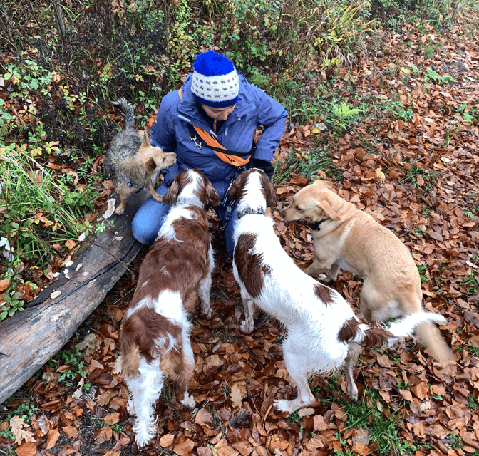 Waldspaziergang
