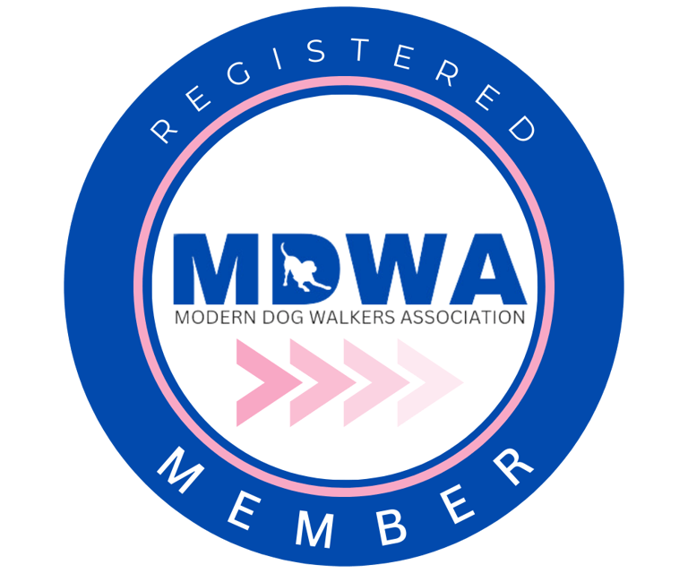 Modern Dog Walkers Association MDWA certified member badge for Doggy Dude.