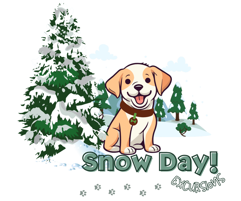 Julia's Pet Pals Boston MA Snow Day Excursion Package
