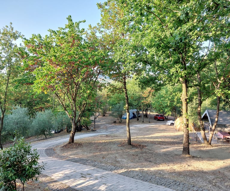 Agriturismo Campeggio Casa Aurora le marche