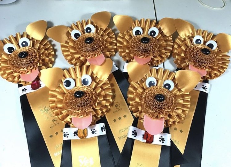 FDC, face de chien, personnalisable selon vos goûts!