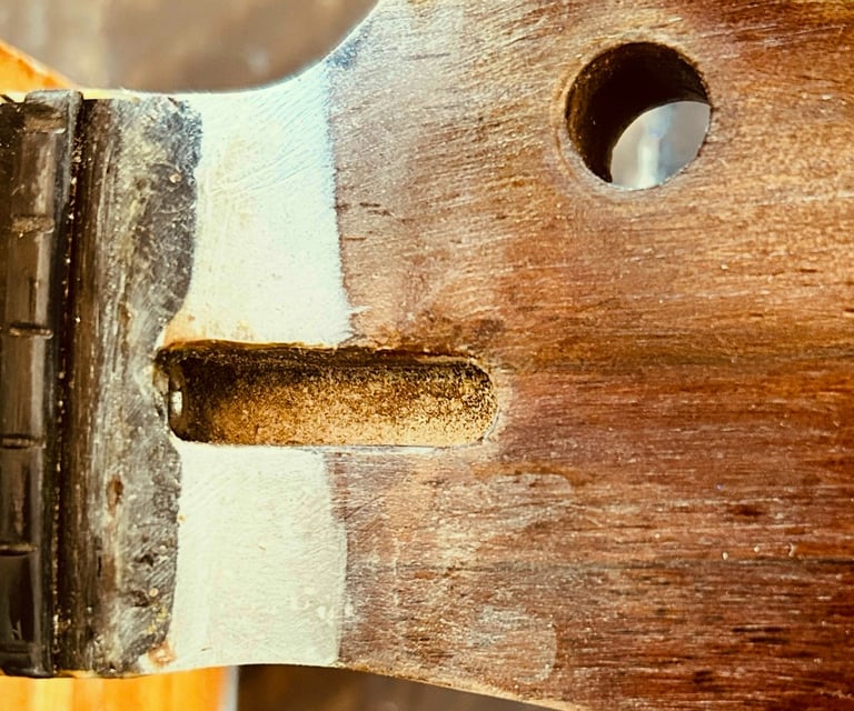 Magnified Wood Epoxy repair on a Curly Walnut Tele Headstock