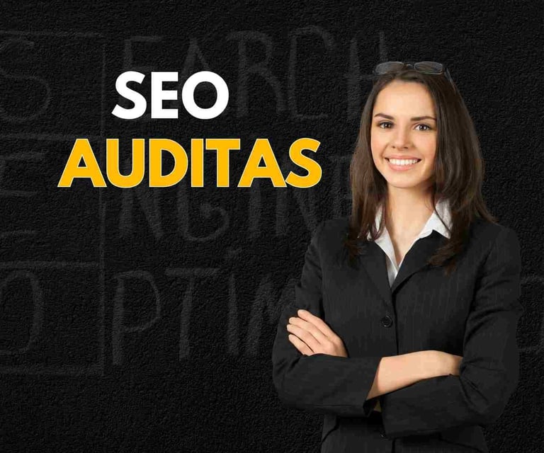 SEO auditas