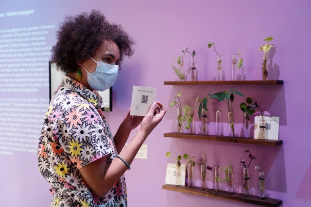 A woman holds a plant care guide in front of a wall full of plant cutting propagation tubes