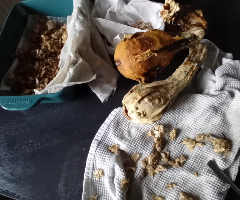 avec des coloquintes créations sculpturales ateliers créatifs