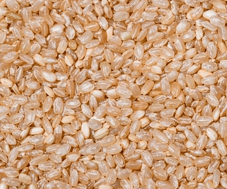 Arroz cateto