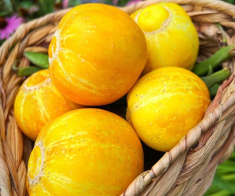 Crystal Lemon Cucumber