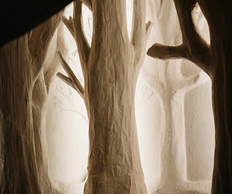 Wood trees with shadows representing mysterious energy