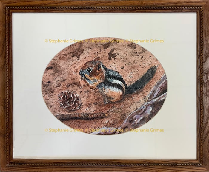 Framed ink painting of a chipmunk eating a nut near a pinecone by Stephanie Grimes.