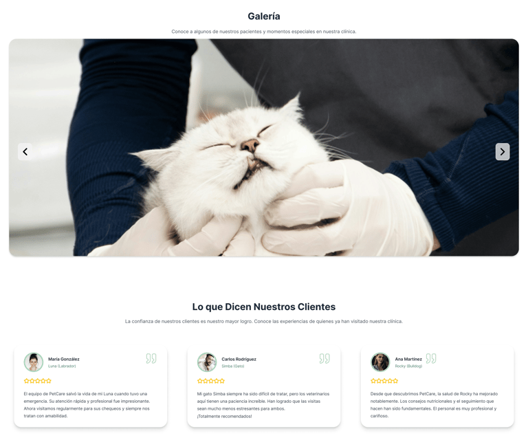 Rediseño de galeria UX/UI y desarollo No- Code clinica veterinara