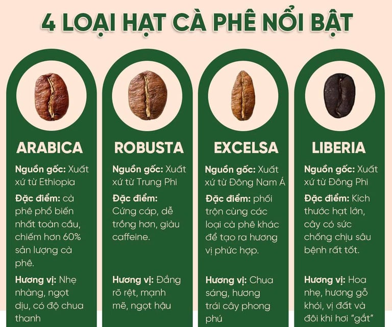 4 loại cà phê phổ biến trên thế giới
