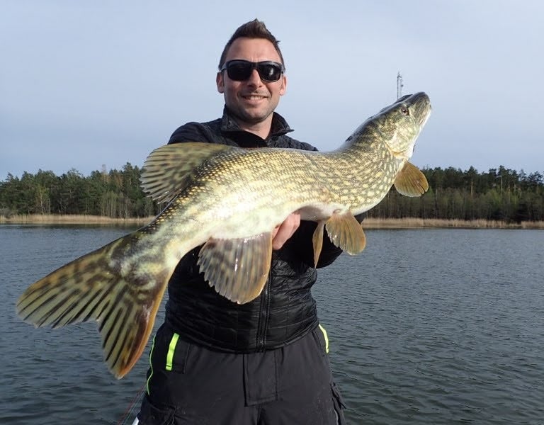 un pêcheur tient un brochet