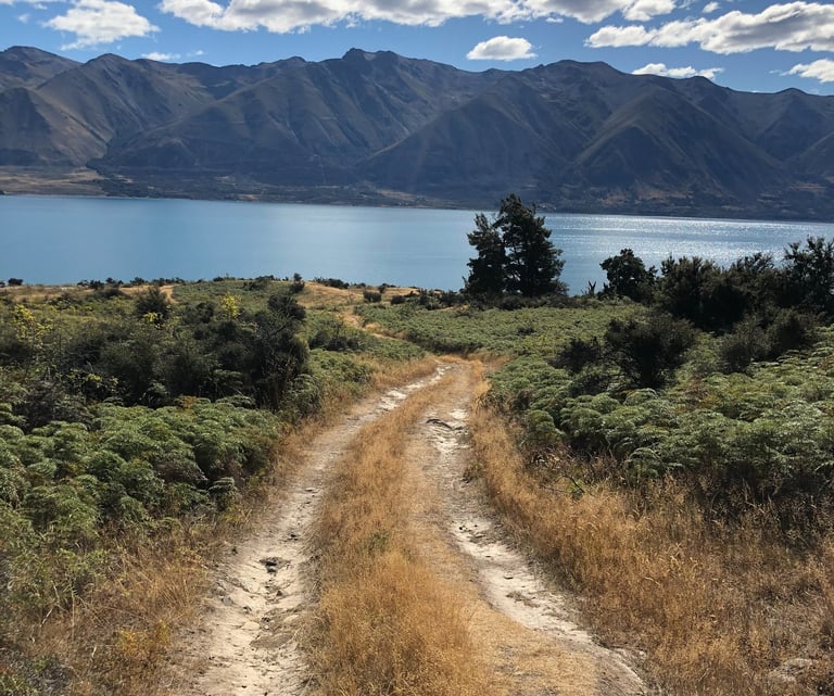 Nature path symbolizing perinatal yoga support for mothers