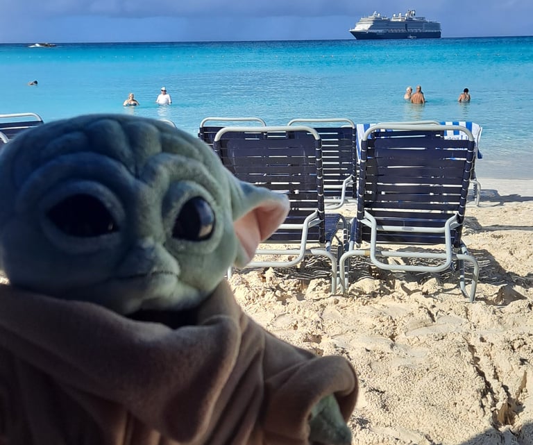 Little Green Companion on Beach