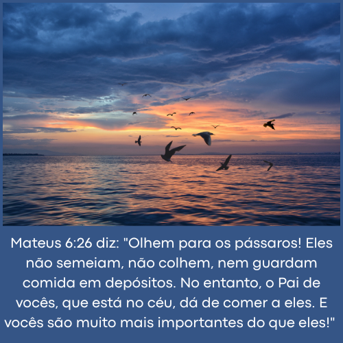 Mateus 6:26