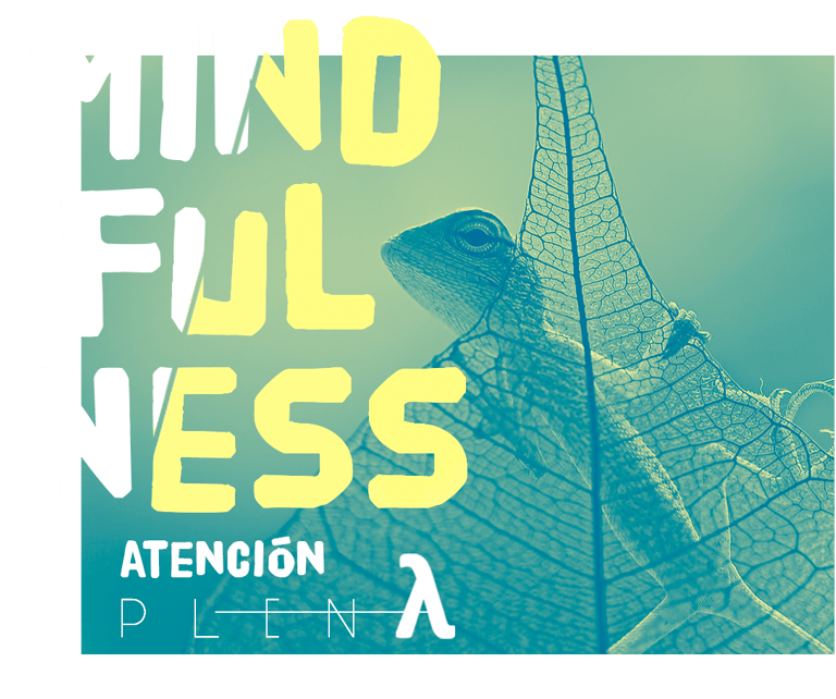 taller mindfulness atencion plena